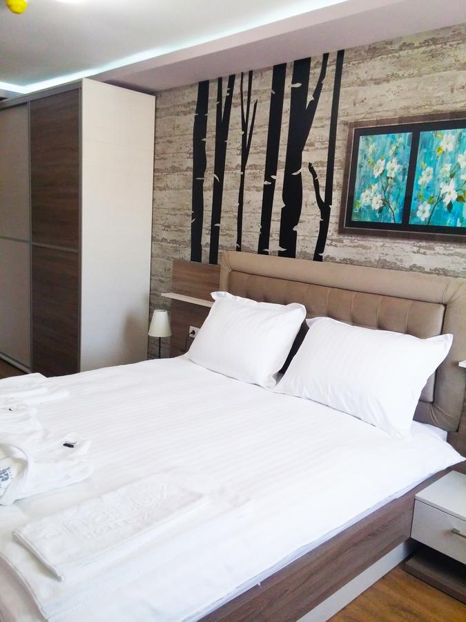 Hotel Ana Lux Spa Pirot Bagian luar foto